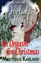An Orgasm For Christmas